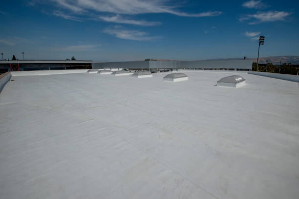 Skylights in Linden, MI