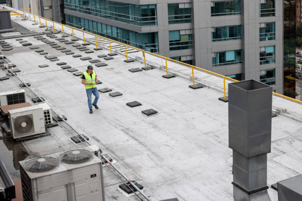 Best Roof Maintenance and Cleaning  in Linden, MI