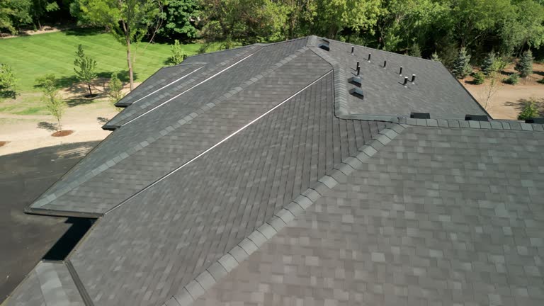Best Asphalt Shingles Roofing  in Linden, MI