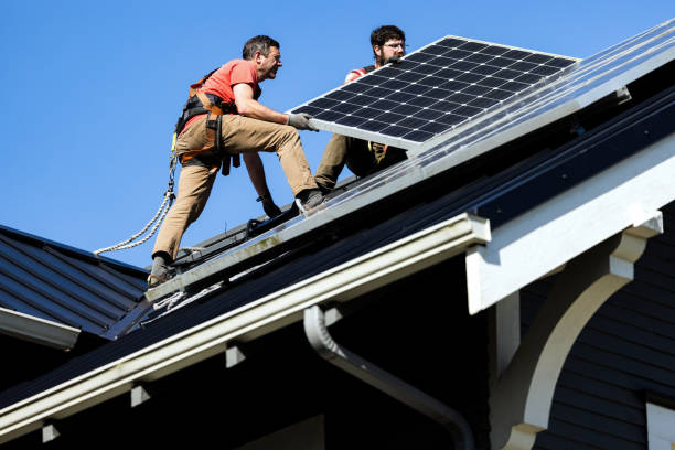Best Storm Damage Roof Repair  in Linden, MI