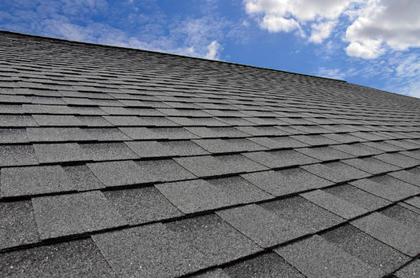 Best Sheet Metal Roofing  in Linden, MI